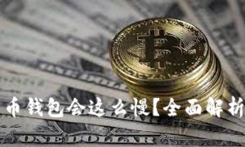 为什么同步比特币钱包会这么慢？全面解析原因与解决方案