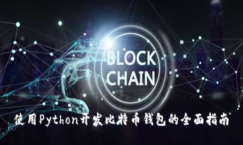 使用Python开发比特币钱包的全面指南