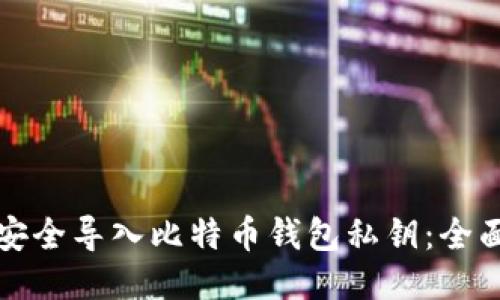 如何安全导入比特币钱包私钥：全面指南