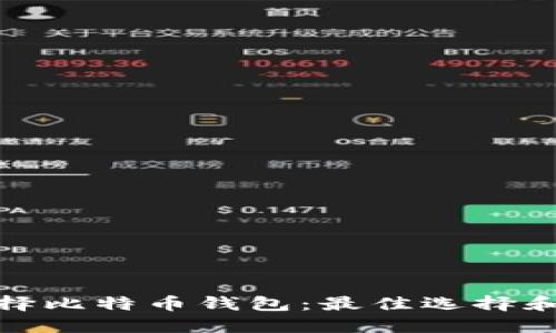 : 如何选择比特币钱包：最佳选择和安装指南