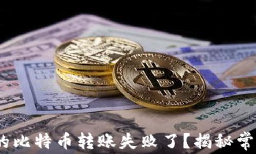 
TP钱包：为什么你的比特币转账失败了？揭秘常见问题与解决方案
