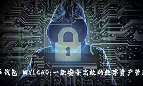 比特币钱包 WYLCAO：一款安全高效的数字资产管理工具