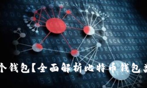 比特币存在哪个钱包？全面解析比特币钱包类型和选择指南