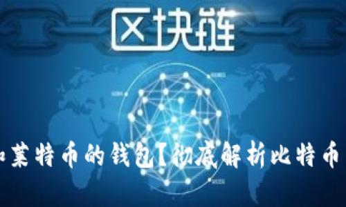 如何选择适合比特币和莱特币的钱包？彻底解析比特币与莱特币钱包的优缺点