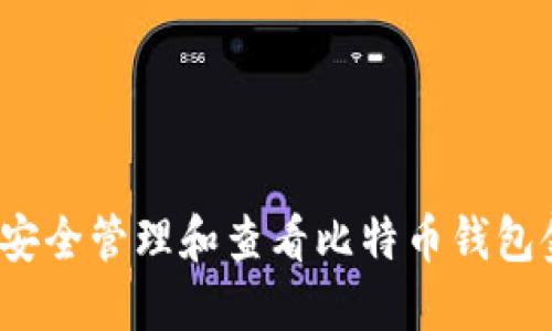 如何安全管理和查看比特币钱包金额？