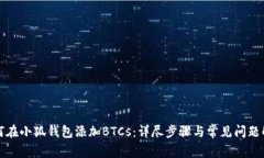 如何在小狐钱包添加BTCs：详尽步骤与常见问题解